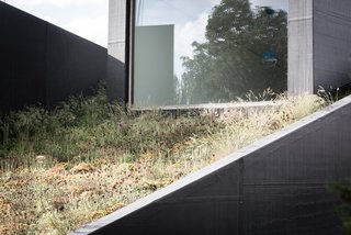 A Compact Home That Literally Pops Up From the Grass - Photo 2 of 11 -