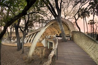 Eco-Friendly Safari Lodge in Africa's Okavango Delta - Photo 2 of 12 -