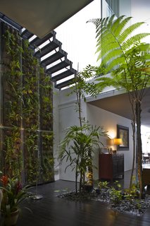 This Modern Home in Singapore Is a Living Urban Jungle - Photo 2 of 12 -
