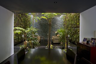 This Modern Home in Singapore Is a Living Urban Jungle - Photo 5 of 12 -