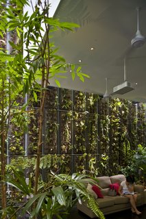 This Modern Home in Singapore Is a Living Urban Jungle - Photo 6 of 12 -