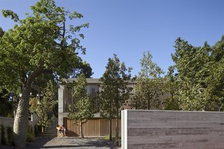 An Architect’s Bright and Airy Family Home Thrives Within a Brutalist Concrete Structure - Photo 5 of 12 -