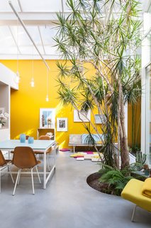 9 Small Spaces With Color - Photo 9 of 9 - A cozy kitchen-dinning area in the studio and home of an Antwerp artist couple with Eames chairs, a second-hand sofa, and mustard-yellow walls.