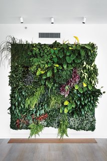 This well-considered botanical composition in a high-end apartment in New York looks as striking as its owners’ others art pieces that adorn the walls.