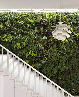 This house, aptly named "The Gardener" by Singapore practice Park+Associates Architects, has a green wall that's covered in plants next to a staircase that leads to the upper level of the house.