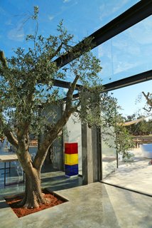 Ever Wanted to Stay in an Ancient Trullo in Puglia, Italy? - Photo 6 of 11 -