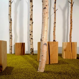 Escape to a Bio-Passive Vacation Refuge in a Bavarian Nature Park - Photo 4 of 9 -
