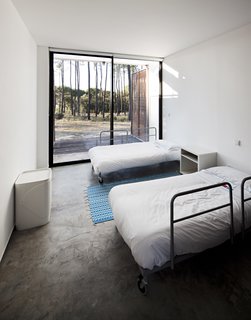 Escape to a Light-Filled, Beach-Meets-Forest Retreat in Portugal - Photo 5 of 14 -