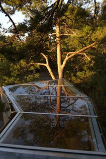 A Tiny Bathhouse on the Norwegian Island of Hankø Made With Sustainable Softwood - Photo 8 of 10 -
