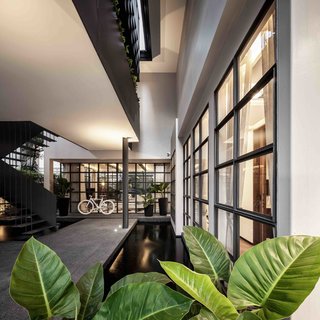 102 Potted Olive Plants Cover the Facade of This Bangkok Home - Photo 4 of 11 -