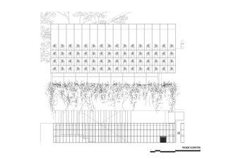 102 Potted Olive Plants Cover the Facade of This Bangkok Home - Photo 11 of 11 -