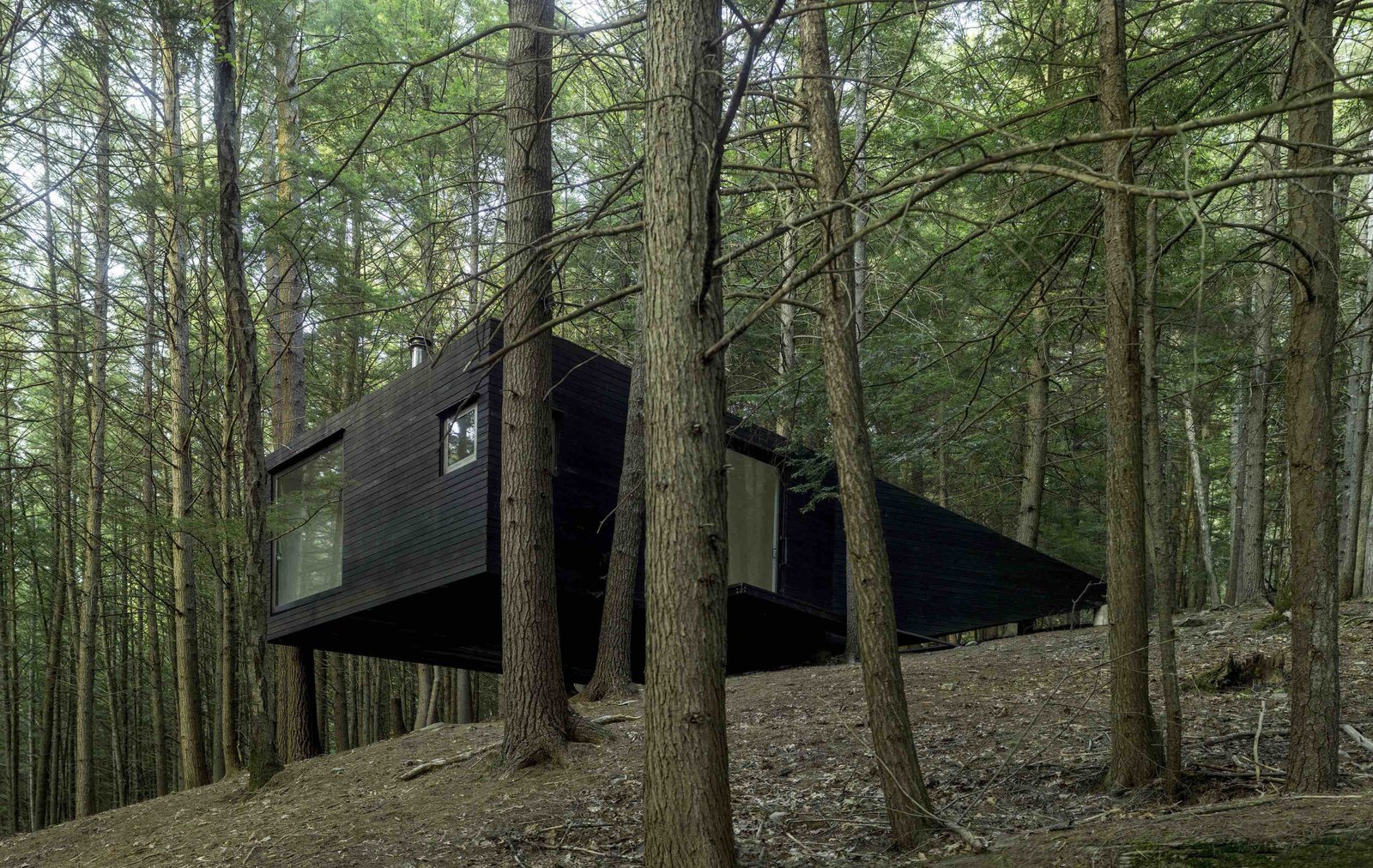 A Dramatic Tree House by Budget-Conscious DIY Builders