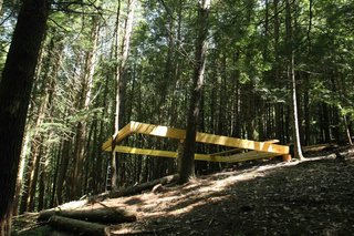 A Dramatic Tree House by Budget-Conscious DIY Builders - Photo 2 of 12 -