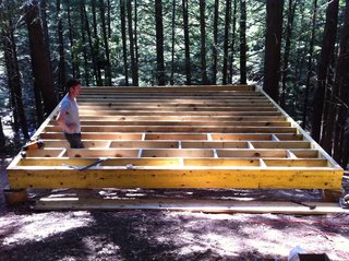 A Dramatic Tree House by Budget-Conscious DIY Builders - Photo 3 of 12 -