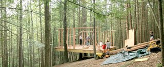 A Dramatic Tree House by Budget-Conscious DIY Builders - Photo 7 of 12 -