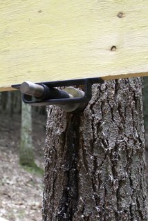 A Dramatic Tree House by Budget-Conscious DIY Builders - Photo 4 of 12 -