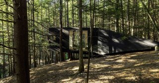 A Dramatic Tree House by Budget-Conscious DIY Builders - Photo 8 of 12 -