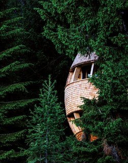 These Tree Houses in the Dolomites Look Like Egg-Shaped Pinecones - Photo 6 of 11 -