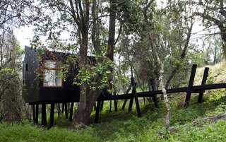 A Little Chilean Tree House That's One With the Canopy - Photo 1 of 9 -
