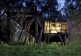 A Little Chilean Tree House That's One With the Canopy - Photo 5 of 9 -