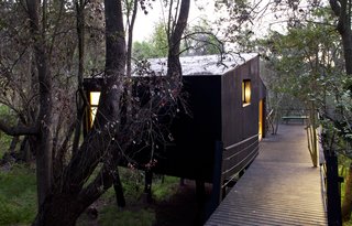 A Little Chilean Tree House That's One With the Canopy - Photo 7 of 9 -