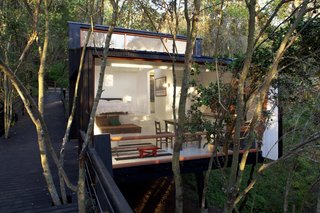 A Little Chilean Tree House That's One With the Canopy - Photo 6 of 9 -