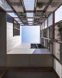 Living Screens Conceal a North Bondi Beach House and a Semi-Indoor Pool - Photo 5 of 18 -