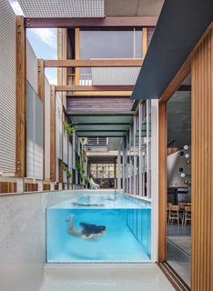 Living Screens Conceal a North Bondi Beach House and a Semi-Indoor Pool - Photo 12 of 18 -