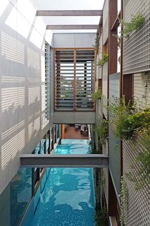 Living Screens Conceal a North Bondi Beach House and a Semi-Indoor Pool - Photo 13 of 18 -