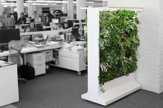 Green panel wall from Sagegreenlife's Verdanta collection.