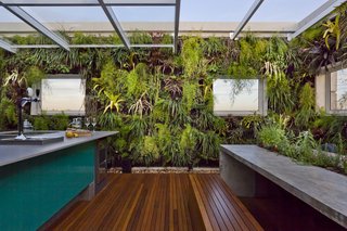 Living Green Walls Bring Jungle Vibes Into a Brazilian Apartment - Photo 2 of 16 -