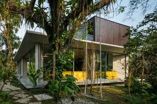 A Concrete Home in Brazil Lets the Owners Practically Live in the Jungle - Photo 8 of 12 -