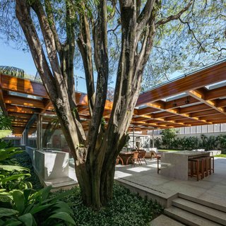 This Brilliant Brazilian Abode Was Designed Around an Imposing Tree - Photo 2 of 11 -