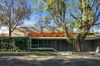 This Brilliant Brazilian Abode Was Designed Around an Imposing Tree - Photo 7 of 11 -