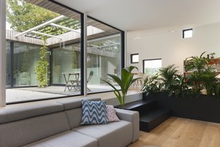 A black planter with ferns separates the living lounge from the dining area.