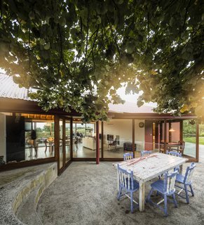 A Bright Red Island Residence Embraces a Linden Tree - Photo 6 of 13 - The tree seems to lean into the highly transparent living room as though to become part of the space.