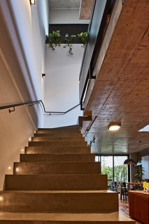 This Slender Concrete Home in Brazil Feels Like an Urban Jungle - Photo 7 of 13 - Concrete steps lead from the living room to the upper level.