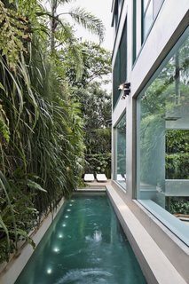 The narrow, elongated pool with a vertical green wall can be seen from inside the apartment.