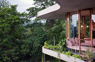 Robust, raw materials such as concrete, brick, and timber highlight the house’s sculptural form, while the glass walls create a sense of full immersion in the rainforest.