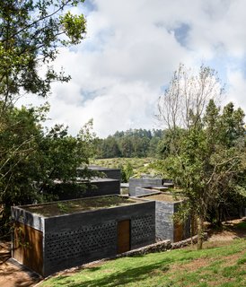The volumes that contain the living room and a guest bedroom were designed with roof terraces, and green roofs cover four of the other volumes.
