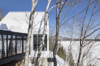 The sheet metal roof and wood cladding of the new structure complements the smooth, shiny birch tree barks on the site.