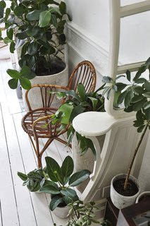 The various pots placed along walls and corners make the apartment feel almost garden-like.