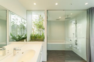 The areas outside of the boxes serve as terraces and gardens.