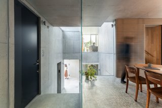 "As with a tree, we tried to create organic architecture that could be formed by a hierarchical combination of different parts, such as plants, pleats as openings, and concrete boxes," explains Hirata.
