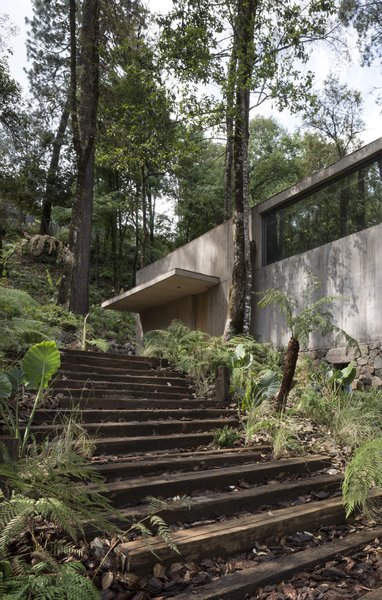 A single roof connects the concrete volumes.