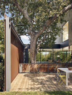 A Durand oak tree on one side of the main living area.