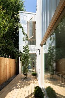 A courtyard in the mid-section of the house draws plenty of light to its center. 