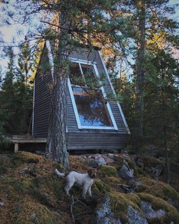 Above the living lounge, the 50-square-foot loft faces a window that frames striking views of the tree canopies.
