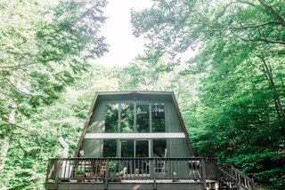 After the renovation, the Hunter Greenhouse was painted green to match the trees around it, earning it its name.