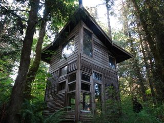 This cabin has a 100-square-foot lower level and a 70-square-foot loft. The cabin has a shed roof that rises as high as 22 feet. 